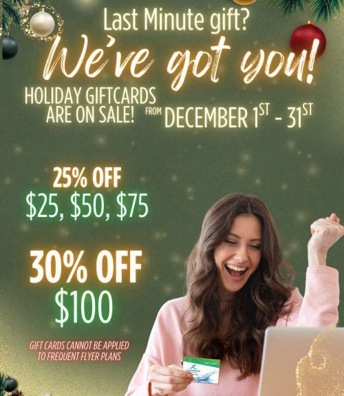 holiday giftcard snapframe 28x44